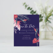 CHEAPEST FOTO Rett Dates Pampas Grass Tropical (Stehend Vorderseite)