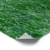 Checking it Out Poster (Ecke)