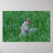 Checking it Out Poster (Vorne)