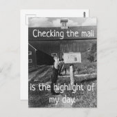 Checking the Mail - Highlight of My Day Postcard Postkarte (Vorne/Hinten)