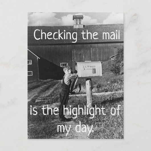 Checking the Mail - Highlight of My Day Postcard Postkarte (Vorderseite)