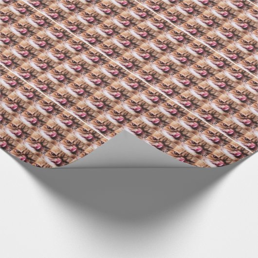 Cheddar-Käse-Verpackung Geschenkpapier (Ecke)