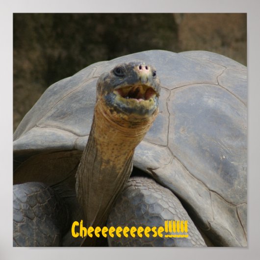 Cheeeeeeese!!!!!!! Poster (Vorne)