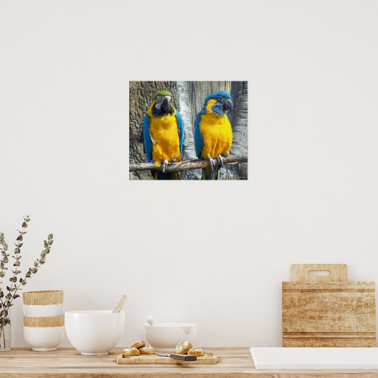 Cheeky Bird Poster (Küche)