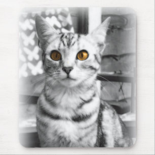 Cheeky Cat Mousepad