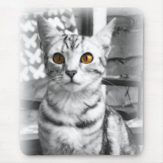 Cheeky Cat Mousepad (Vorne)