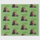 Cheeky Chimp Geschenkpapier (Flach)