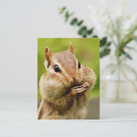 Cheeky Chipmunk Postcard Postkarte (Stehend Vorderseite)