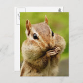 Cheeky Chipmunk Postcard Postkarte (Vorne/Hinten)