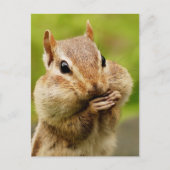 Cheeky Chipmunk Postcard Postkarte (Vorderseite)