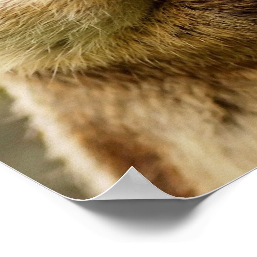 Cheeky Chipmunk Poster (Ecke)