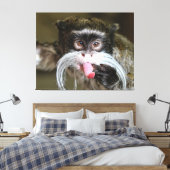 Cheeky Emperor Tamarin Monkey Leinwanddruck (Insitu (Schlafzimmer))