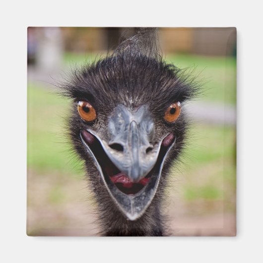 Cheeky Emu Kühlschrankmagnet (Vorne)
