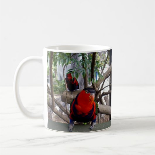 Cheeky Face Rainbow Lorikeet Kaffeetasse (Links)