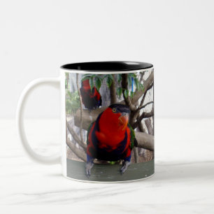 Cheeky Face Rainbow Lorikeet Zweifarbige Tasse
