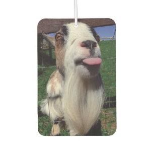 Cheeky Goat Air Freshener Autolufterfrischer