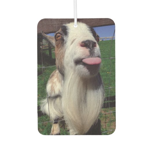 Cheeky Goat Air Freshener Autolufterfrischer (Vorderseite)