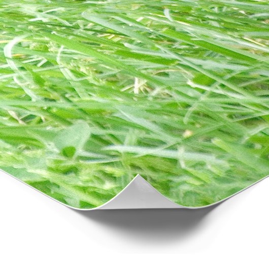 Cheeky Gorilla Lope Poster (Ecke)