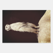 Cheeky Meerkat Design - Wrapping Paper Geschenkpapier Set (Vorderseite 3)