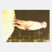 Cheeky Meerkat Design - Wrapping Paper Geschenkpapier Set (Vorderseite 2)