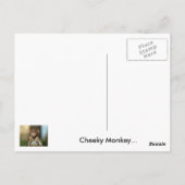 Cheeky Monkey - Niedlich Baboon Postkarten (Rückseite)