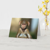 Cheeky Monkey - Niedliche Baby Baboon Card Karte (Gelbe Blume)