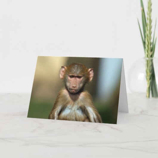 Cheeky Monkey - Niedliche Baby Baboon Card Karte (Vorderseite)