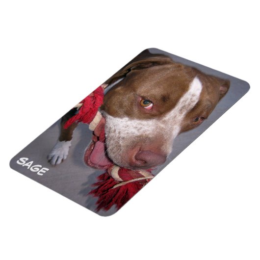 Cheeky Pitbull Magnet (Linke Seite)