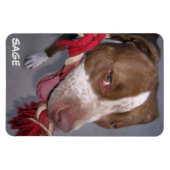 Cheeky Pitbull Magnet (Horizontal)