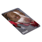 Cheeky Pitbull Magnet (Rechte Seite)