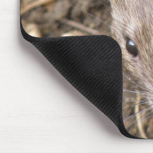 Cheeky Rat Mousepad (Ecke)