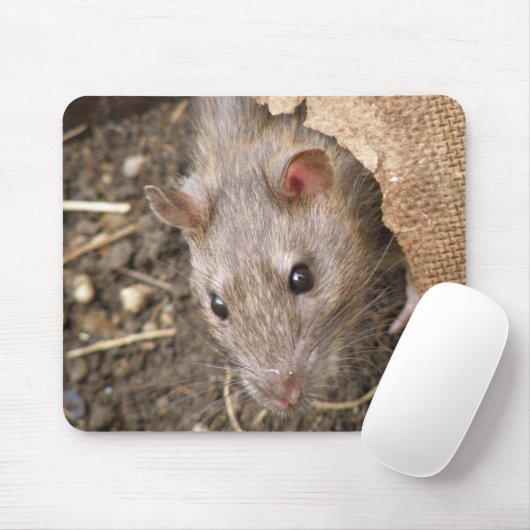 Cheeky Rat Mousepad (Mit Mouse)