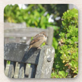 Cheeky Sparrow Getränkeuntersetzer (Vorderseite)
