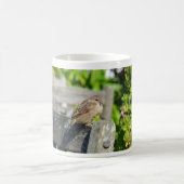 Cheeky Sparrow Kaffeetasse (Mittel)