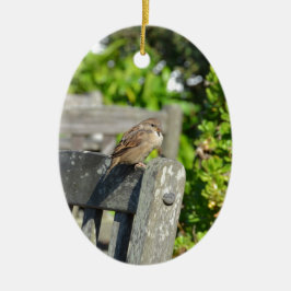 Cheeky Sparrow Keramikornament