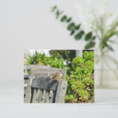 Cheeky Sparrow Postkarte (Stehend Vorderseite)