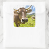 Cheeky "Was?" Kuh Quadratischer Aufkleber (Tasche)