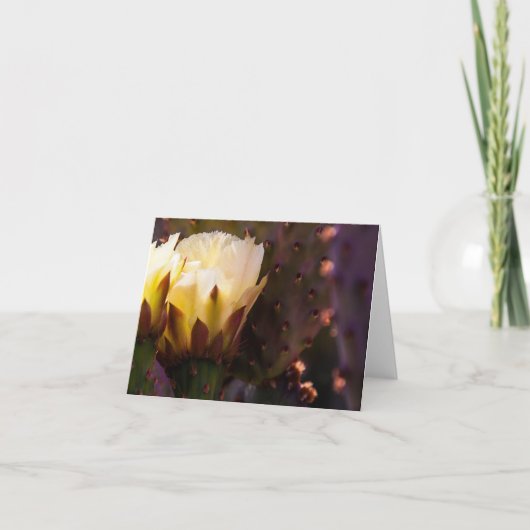 Cheerful Blank Notecard Karte (Vorderseite)