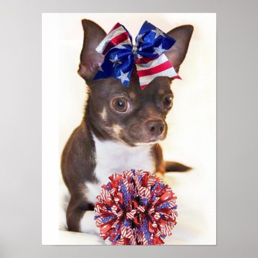 Cheerleader Chihuahua Poster (Vorne)