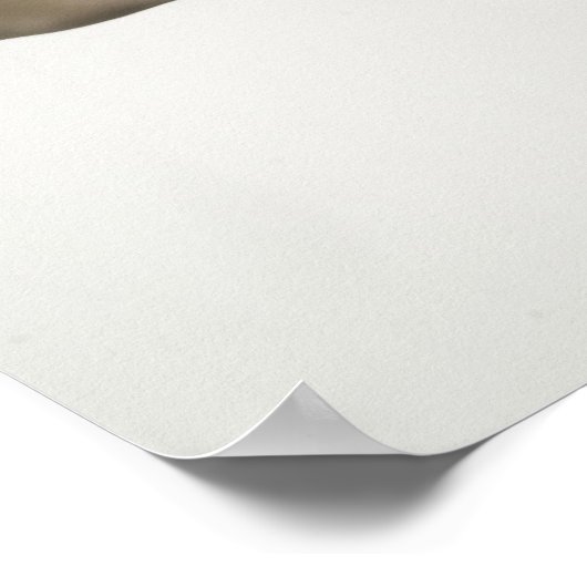 Cheerleader macht Splitter in der Luft Poster (Ecke)