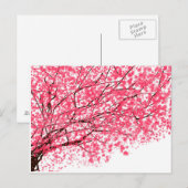 Cheery Cherry Blossom Postkarte (Vorne/Hinten)