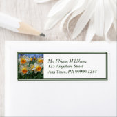 Cheery Daffodils (Insitu)