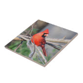 Cheery Kardinal Decorative Tile Fliese (Seite)