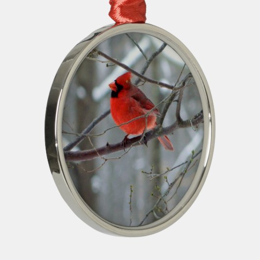 Cheery Kardinal Premium Ornament (Rechts)