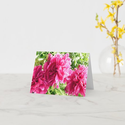 Cheery Peonys / Note Card Karte (Gelbe Blume)
