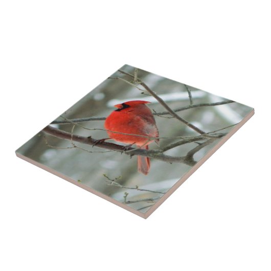 Cheery Red Kardinal Decorative Tile Fliese (Seite)