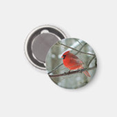 Cheery Red Kardinal Magnet (Vorderseite/Rückseite)