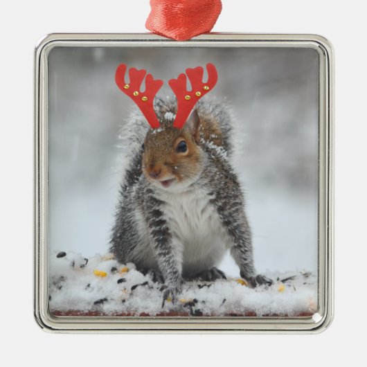 Cheery Squirrel With Antlers Square Ornament (Vorne)