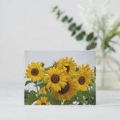 Cheery Sunflower Group Postkarte (Stehend Vorderseite)