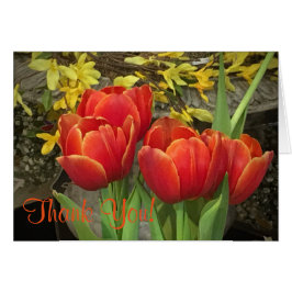 Cheery Tulip Thankyou